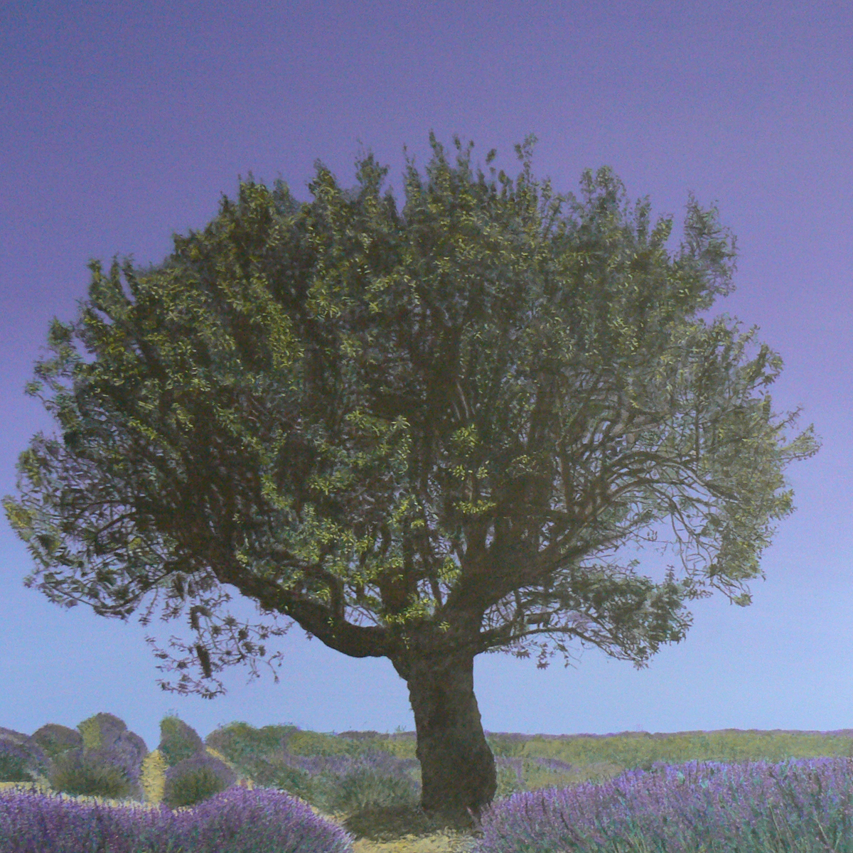AtiedeVisser_2011_04